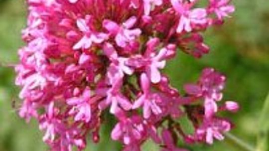 没有那么漂亮＂width=