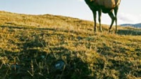 18新利最新登入东北大巴克俱乐部是如何运作的吗”width=