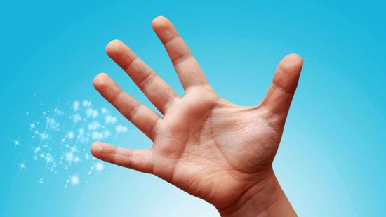 孩子可以再生自己的指尖。18新利最新登入这太酷了,不是吗?”class=