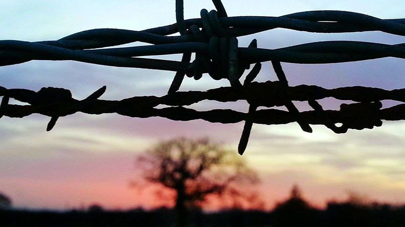 How did rural communities use barbed wire fences to communicate via telephone? Neil Irving/EyeEm/Getty Images
