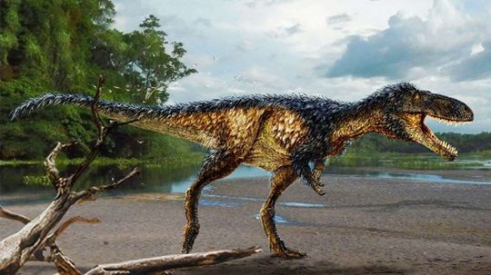 马大小的恐龙的发现在T. Rex Evolution上的灯光“border=