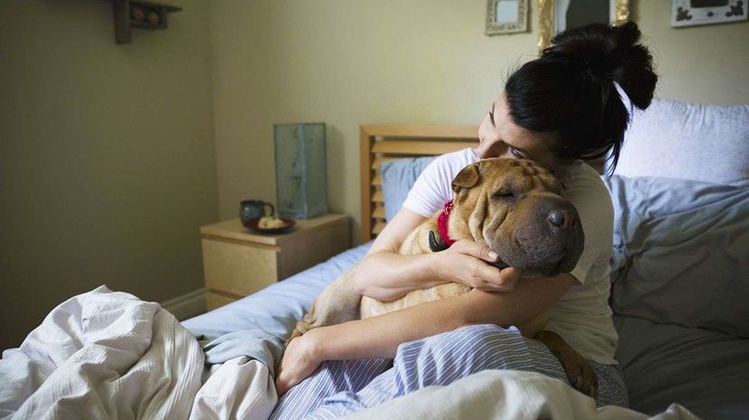 Cuddling up with pets doesn't expose your furry friends to a risk of disease transmission. HeroImages/Getty Images