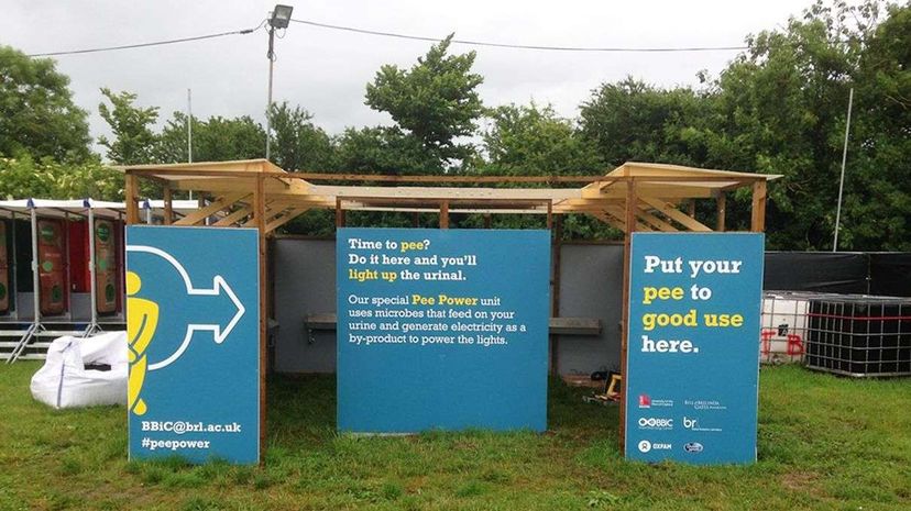 The public urinal installed this year at Glastonbury festival can generate enough electricity to light the cubicle's LED tubes. Bristol BioEnergy Centre