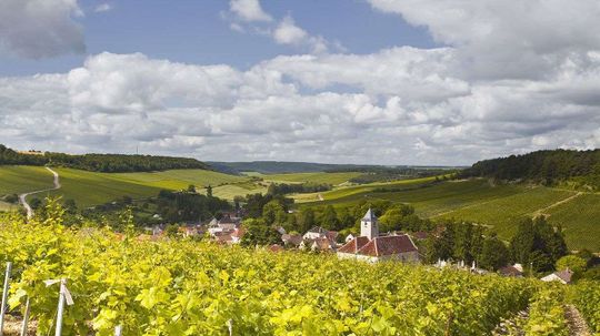 气候变化正在影响法国葡萄酒——好与坏＂width=