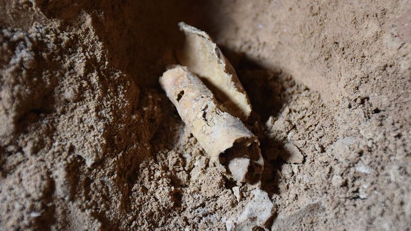 Remnants of a parchment scroll that had been processed for writing were uncovered in Qumran's Cave 12. Casey L. Olson and Oren Gutfeld