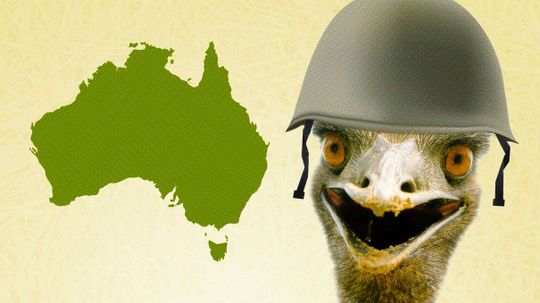 Ridiculous History: The Emu War