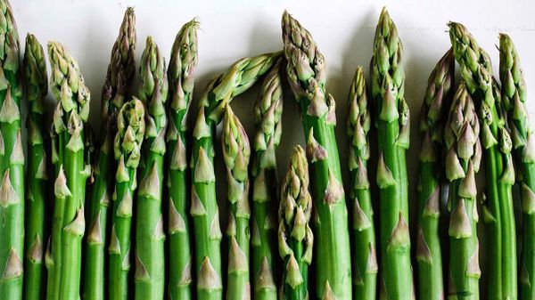 asparagus, urine, smell, green, vegetables