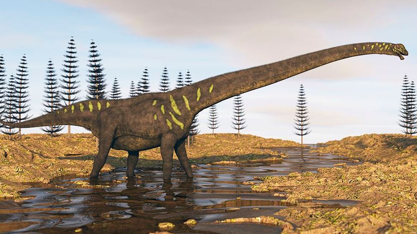 This artist's rendition depicts a Mamenchisaurus, a sauropodian dinosaur that lived in what is today China; researchers recently discovered footprints in Australia that came from a large sauropod. StockTrek Images/Getty Images