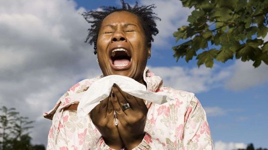 If Sunlight Makes You Sneeze, You're Not Alone