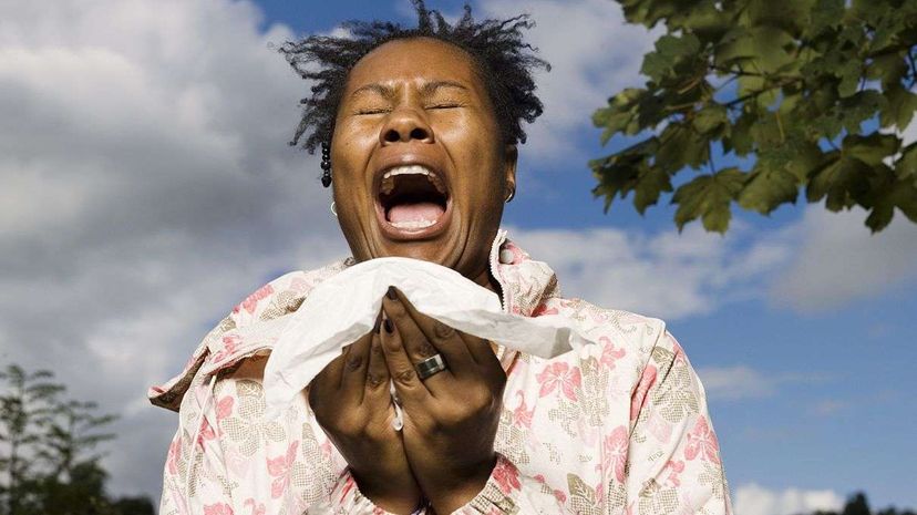 sneeze, allergy, response