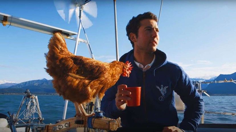Sailing Solo Around the World  with a Pet Chicken Great Big Story/YouTube