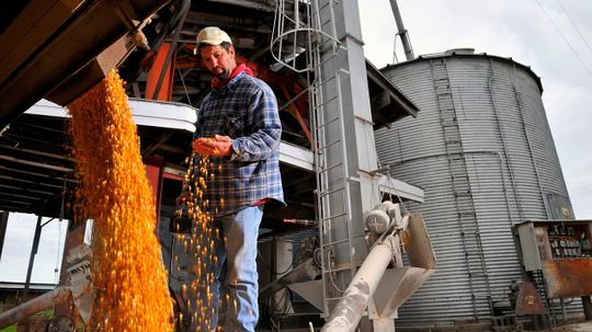 Why the U.S. Cares So Much About Corn ... Is Complicated