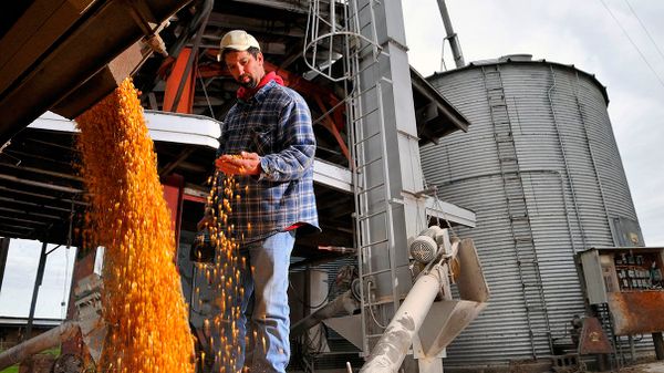 U.S. corn farmer