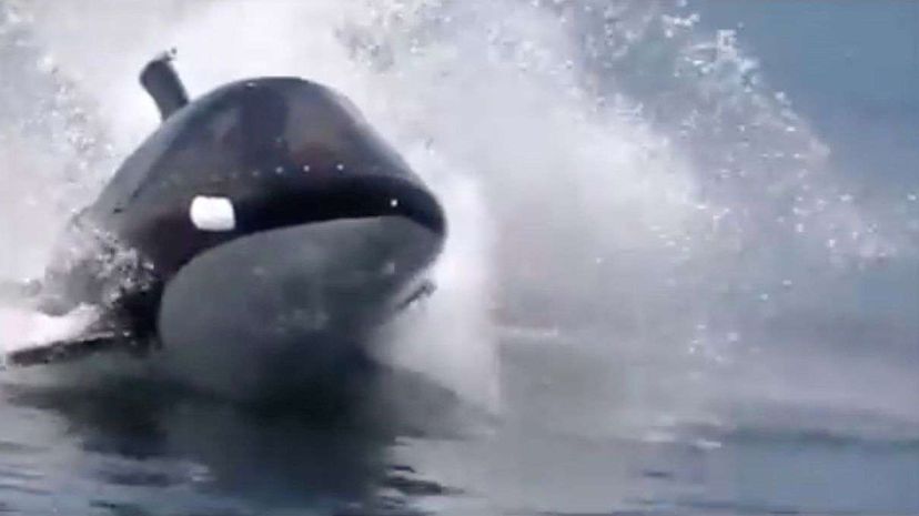 There's a two-person watercraft that looks like an orca â€” really. Hammacher Schlemmer YouTube video