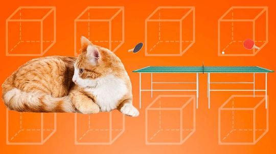 How Is a Cat Like a Pingpong Table?