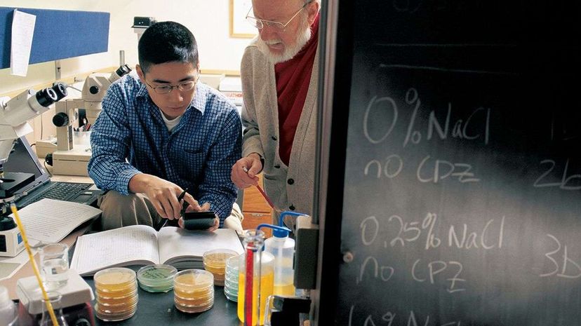 Dr. William Campbell (R) works with a Drew University undergraduate student in 2001. Campbell and researchers Satoshi Omura and Youyou Tu received the 2015 Nobel Prize in Medicine. Bill Dennison/Drew University/Getty Images