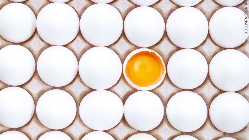 HowStuffWorks NOW: You cannot Unboil An Egg.现在的东西怎么能不煮鸡蛋呢?是的,你可以。HowStuffWorks＂width=