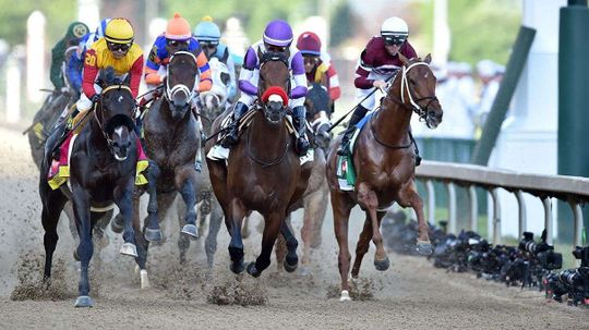 Swarm Intelligence Correctly Predicts Top Four Kentucky Derby Finishers