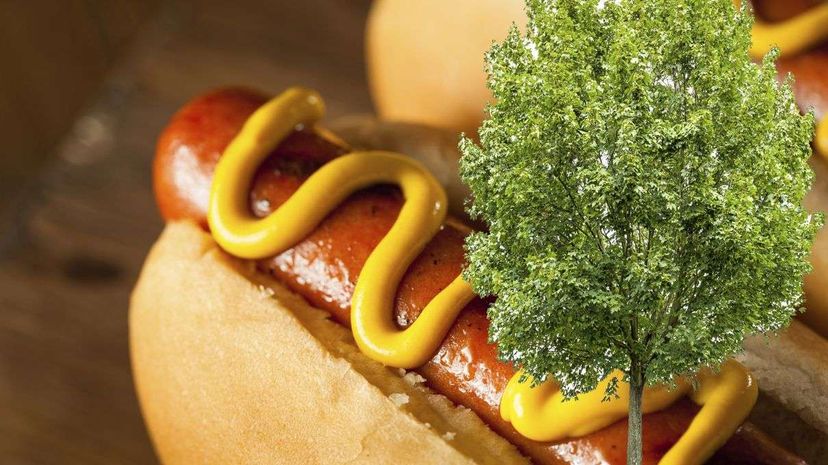 Could tree-sourced cellulose change the way hot dogs are made and make us healthier in the process? bhofack2/ Coldimages /iStockphoto