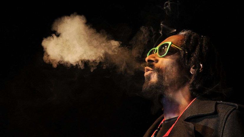 Rapper Snoop Dogg blowing heart-shaped marijuana smoke at a 2013 convention. The musician recently launched a name-brand line of marijuana and other weed-adjacent products. Seth McConnell/Getty Images
