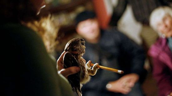 科学家正在把工作外包给你＂class=