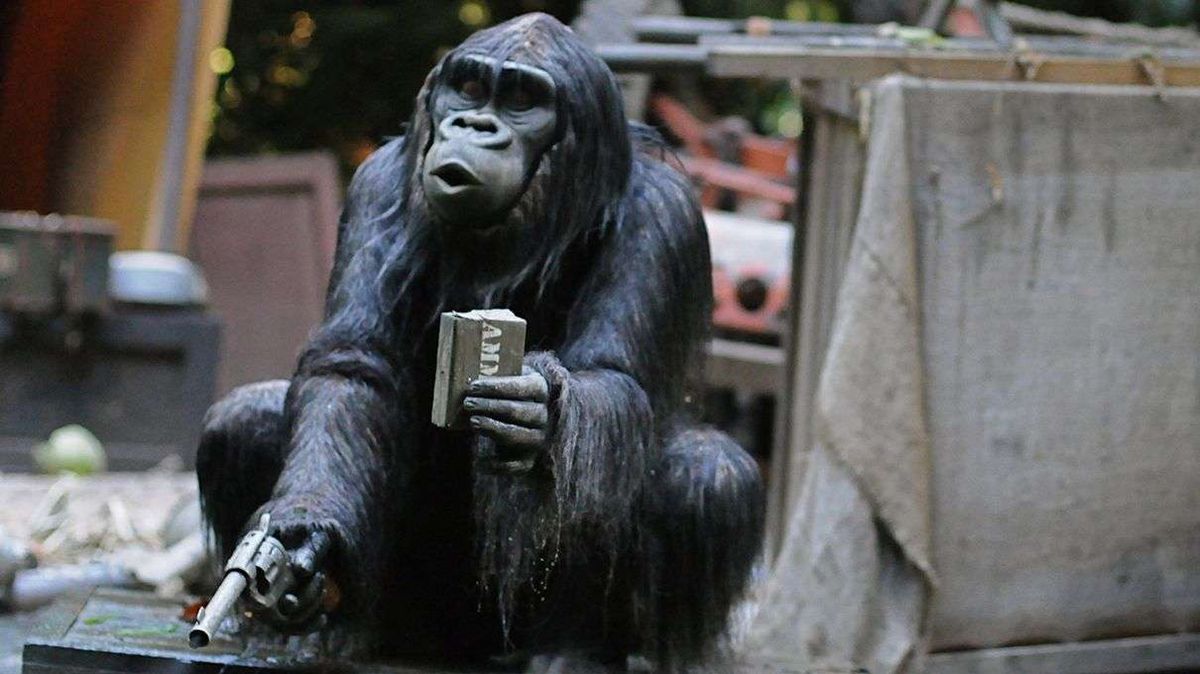 Should We Worry About Apes Learning to Use Handguns? HowStuffWorks
