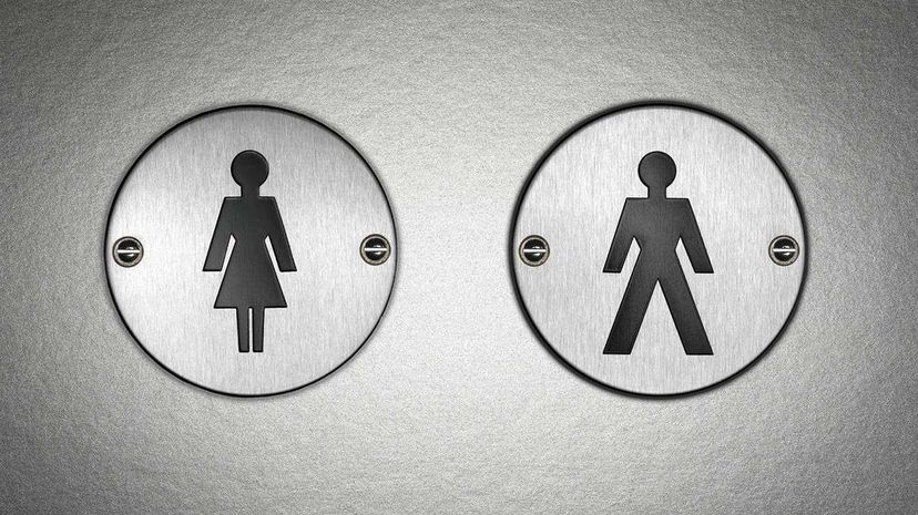 Stuff Mom Never Told You: Why Men & Women Use Different Bathrooms Howstuffworks