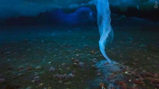 Underwater Icicles Are Salty, Weird-Looking and Deadly