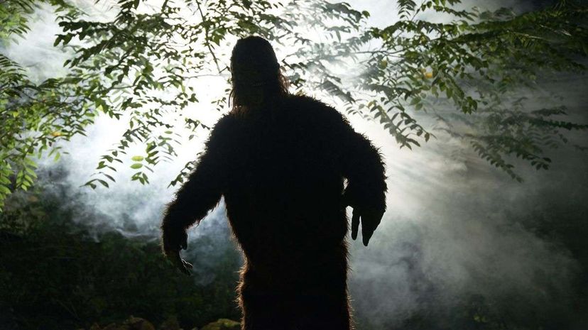 Looking for a sasquatch costs money, and though some television studios fund shows that hunt the mythical beast, a significant amount of funding comes from private citizens. Nisian Hughes/Getty Images