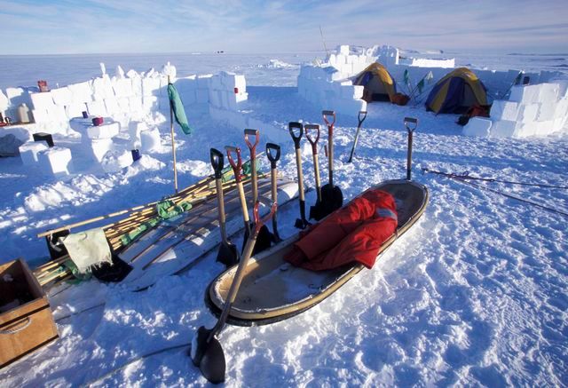 Anarctica Survival School