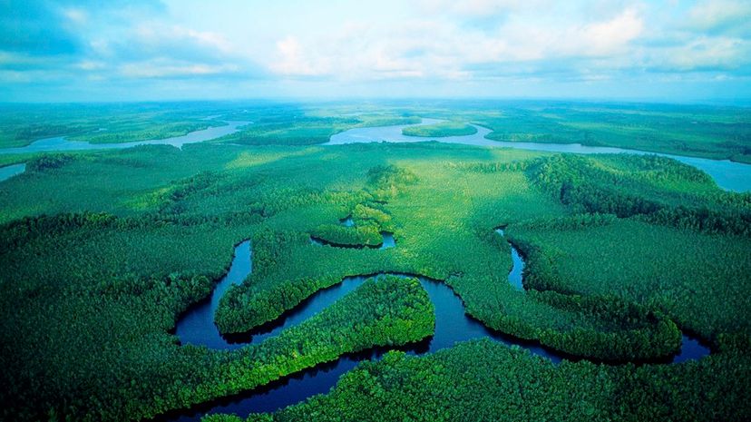 The Congo River basin in Central Africa is home to massive amounts of peatland, a recent scientific analysis has discovered Robert Caputo/Getty Images