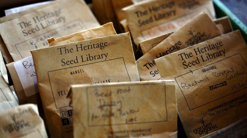 Seed packets for sharing at The Heritage Seed Library John Carey/Getty Images