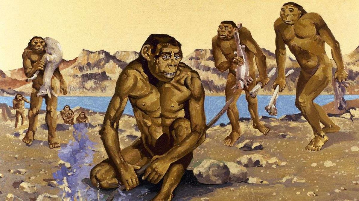 early humans homo habilis