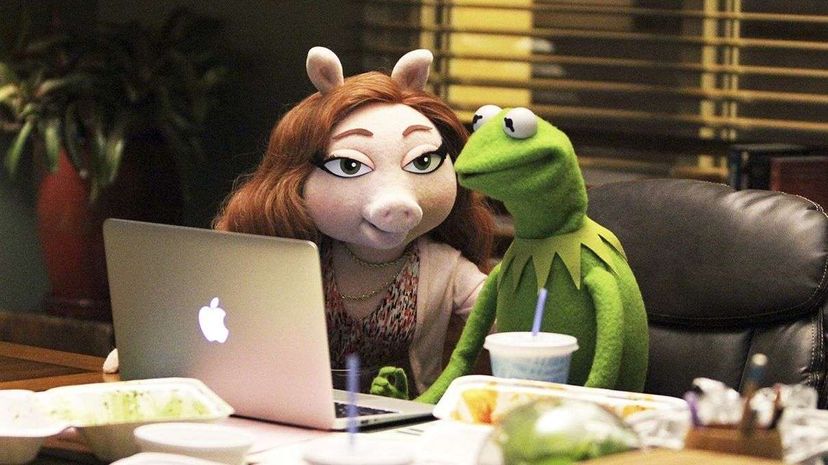 虽然我们不能假装了解Kermit The Frog的私生活的一切，但研究人员已经发现了一种对印度青蛙物种独一无二的新交配习惯。andrea mccallen / getty图片“width=