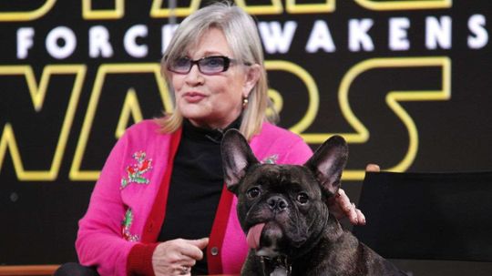 5 Times Carrie Fisher Delighted Us Promoting ‘Star Wars: The Force Awakens’