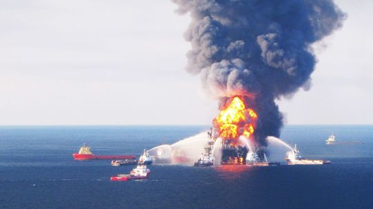 Deepwater Horizon Oil Found in Land-based Birds for First Time
