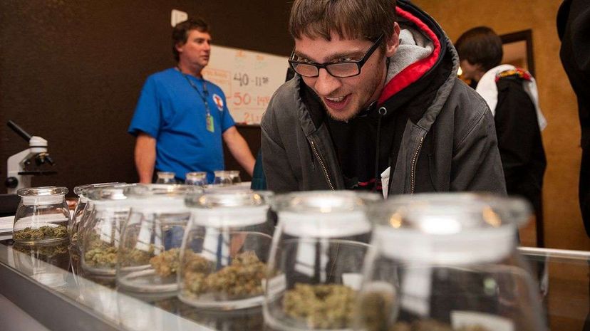 Ohio resident Tyler Williams selects marijuana strains to purchase at a Denver, Colorado, dispensary on Jan. 1, 2014, the first day recreational marijuana use was legally allowed under state law. Theo Stroomer/Getty Images