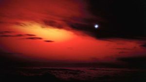 Sun dips below horizon, dusk brings night.