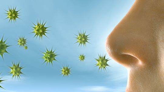 旅行时限制过敏”width=