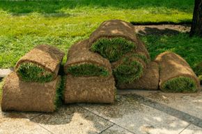 Is your lawn in complete disrepair? These tips will help you get a fresh start.