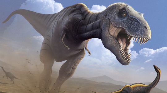 Could You Really Outrun a Tyrannosaurus Rex?