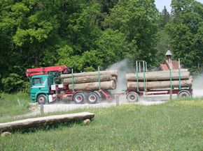 Logging trucks are likely candidates for overweight permits.