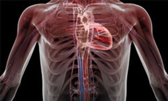 肺癌常识＂class=