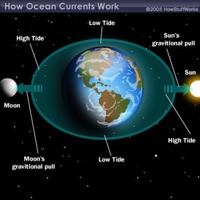 The gravitational pull of the moon usually creates two high tides and two low tides each day.