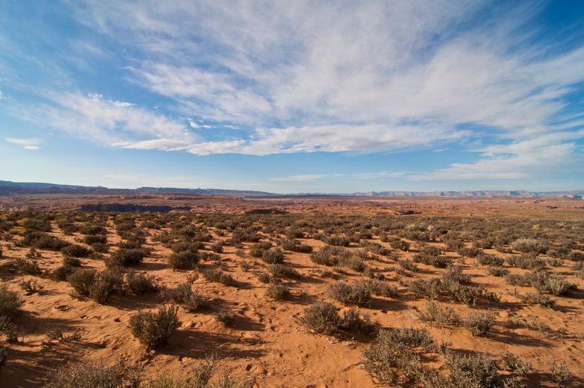 The Arizona desert is vast.