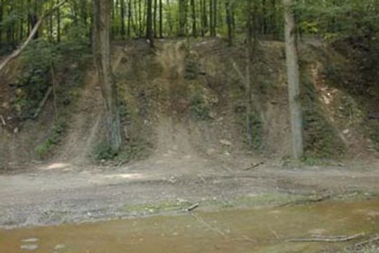 Is off-roading bad for the environment?