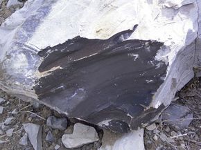 A piece of oil shale