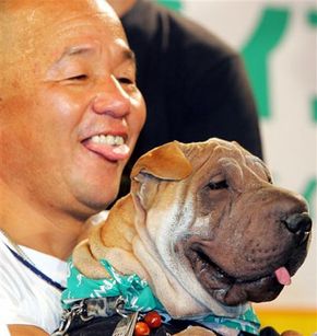 People often choose dogs that they believe reflect aspects of their own personalities. This man looked so much like his dog that he won $2,620 in a contest.