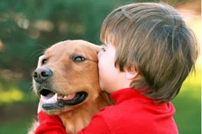 boy kissing dog