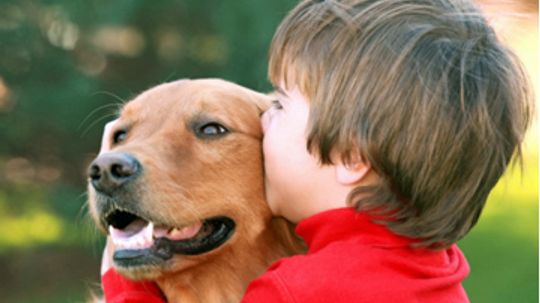 Is it bad to have old dogs around young kids?